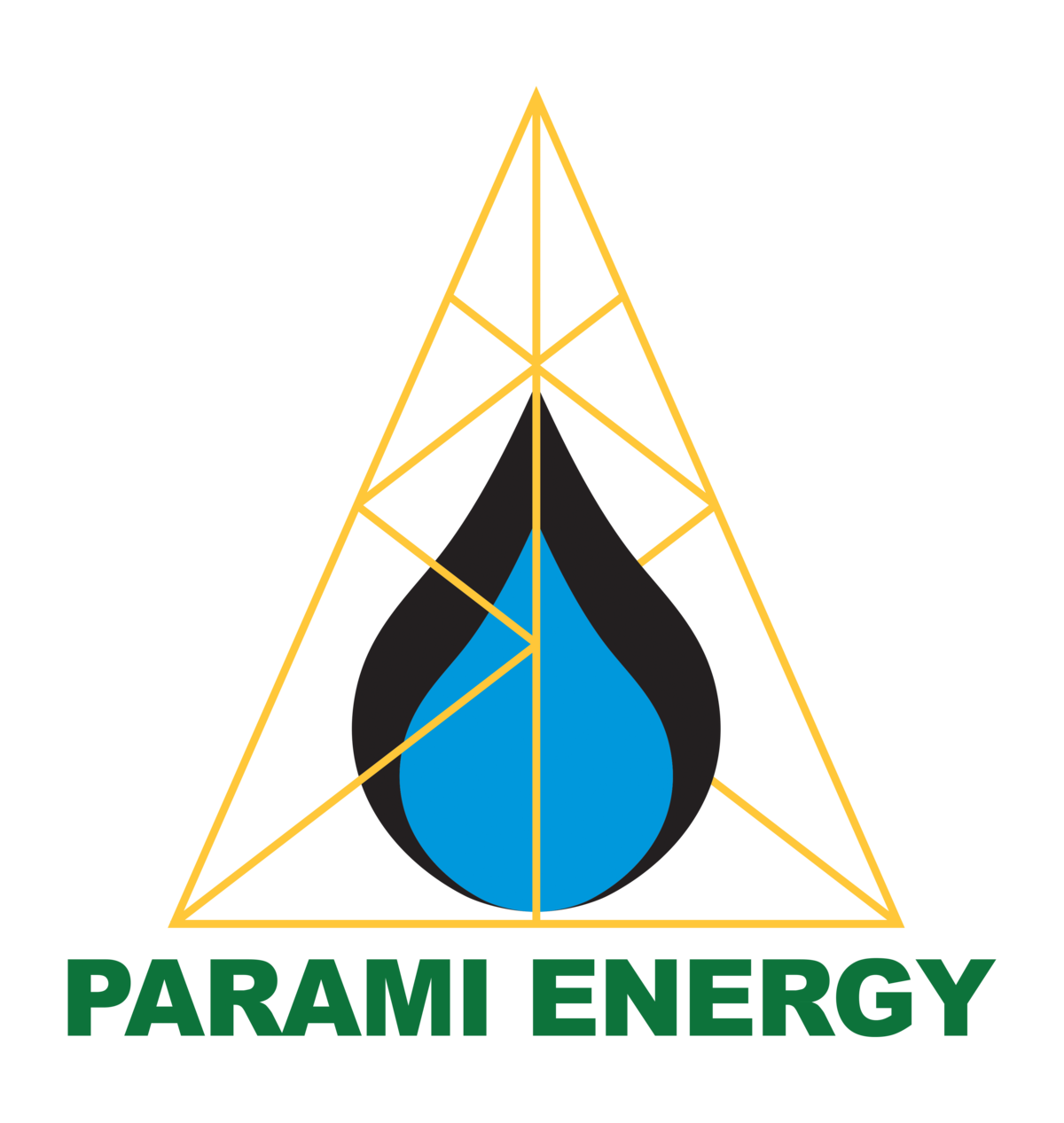 Energy group. Сахалинская энергия логотип. Energie Group logo. ГАЗ нефть земля энергия логотип. Министерство энергетики Мьянмы.