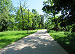 Thumbnail for Tadeusz Mazowiecki Park (Warsaw)