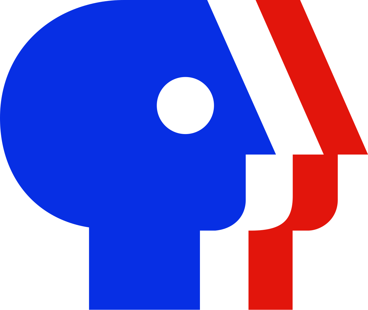 pbs logo