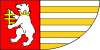 Flag of Radzyń Podlaski County