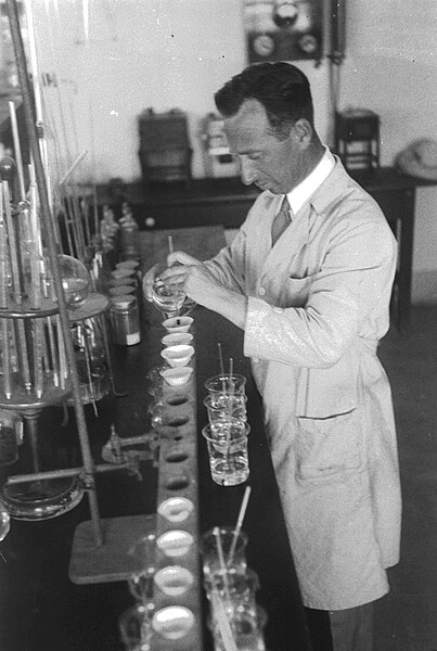 File:PROF. RABIKOVITZ EXPERIMENTING IN THE CHEMICAL LAB. OF THE RESEARCH STATION IN REHOVOT. המעבדה הכימית במכון וולקני ברחובות..jpg