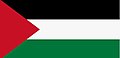 Palestine Flag.jpg