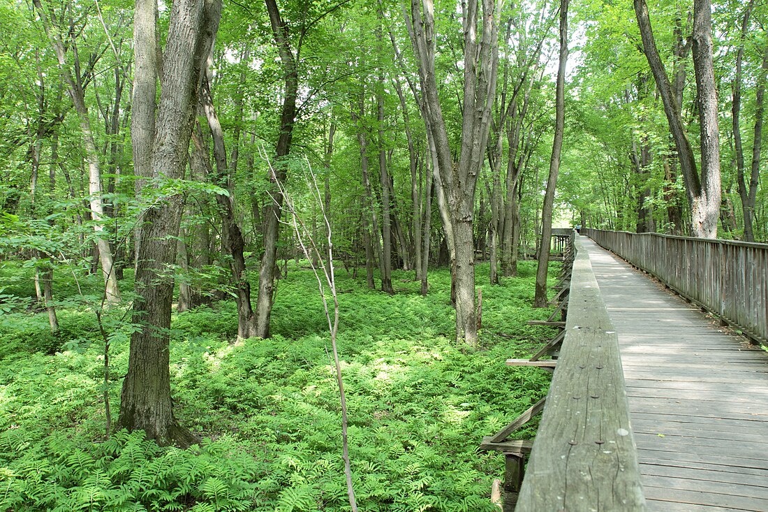 Parc écologique de l'Anse du Port