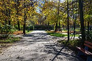 Park Mazura, Sosnowiec