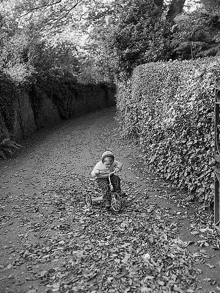 File:Photograph of Eirlys Hughes, three years old, playing in the autumn leaves (8093686687).jpg