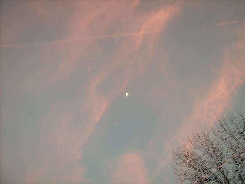 File:Pink Moon.jpg