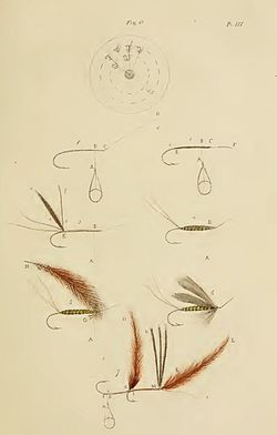 The Fly-fisher's Entomology - Wikipedia