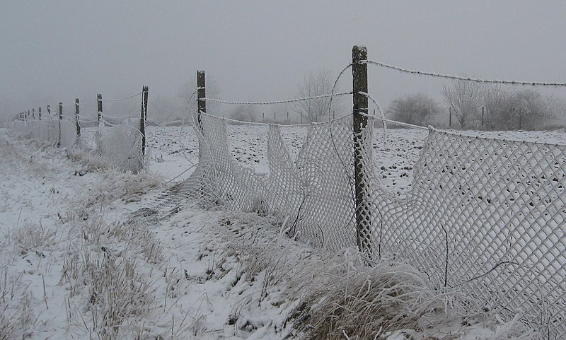 File:Plot - panoramio.jpg