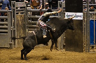 <span class="mw-page-title-main">ProRodeo Hall of Fame</span> Hall of fame in Colorado Springs, Colorado