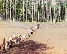 Монахи Нило-Столобенской пустыни сажают картофель. Фото С. Прокудина-Горского, 1910