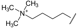 File:Protein-N6,N6,N6-trimethyl-L-lysin.svg