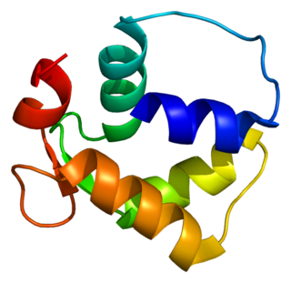 <span class="mw-page-title-main">Centrin 1</span> Protein-coding gene in the species Homo sapiens