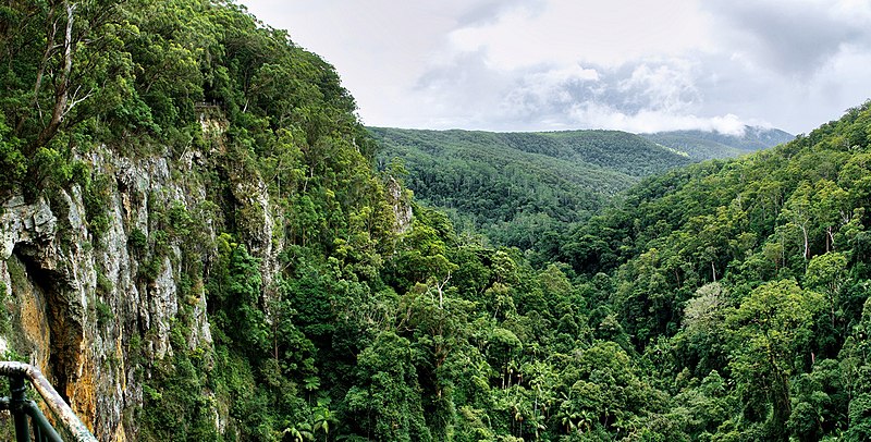 File:Purling Brook Falls lookout Gold Coast.jpg