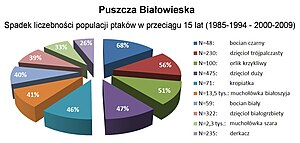 Puszcza Białowieska - spadek liczebności populacji ptaków.jpg
