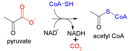Tập_tin:Pyruvate_dehydrogenase_complex_reaction.PNG