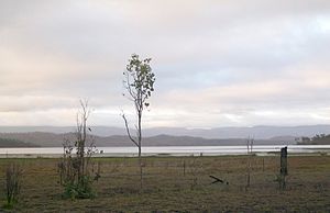 View from Mulligan Highway of Lake Mitchell on an early December morning (2009)