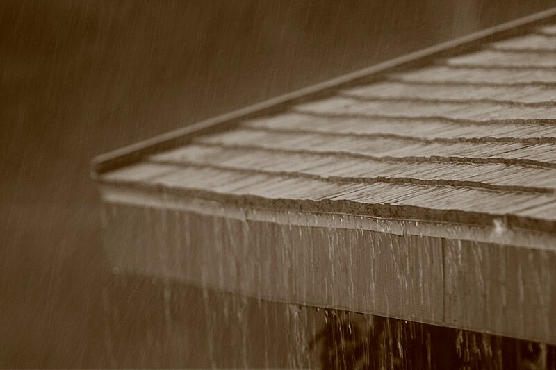 File:Rain Off the Roof (2839630632).jpg