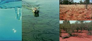 Lake and Mulga ecosystems with alternative stable states Resilience1.jpg