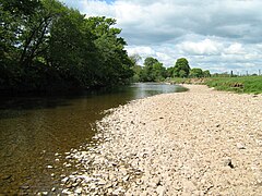 Eden -joki Musgrave -sillan alla - geograph.org.uk - 2275404.jpg