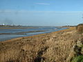 River Wyre from Wardleys - geograph.org.uk - 109723.jpg