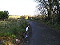 Road at Manner's Town - geograph.org.uk - 1030706.jpg