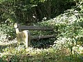Миниатюра для Файл:Romantic park bench.jpg