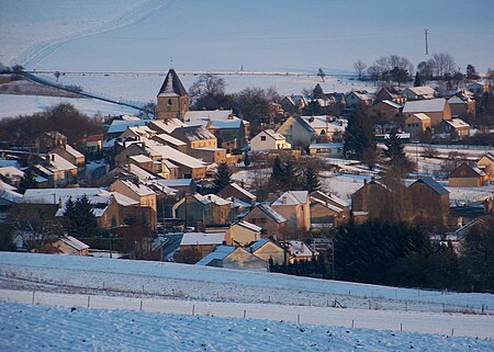 Roseneige