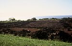 Puʻu o Mahuka Heiau State Monument