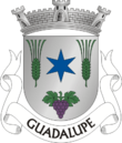 Vlag van Guadalupe