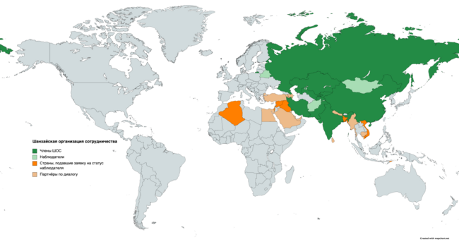 Вы точно человек?