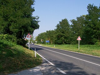 <span class="mw-page-title-main">Regional road (Italy)</span> Regional road system of Italy