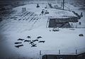 "Sailors_create_snow_angels_on_the_flight_deck_of_USS_Dwight_D._Eisenhower._(32171698476).jpg" by User:Elisfkc