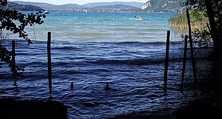 Fortune Salaire Mensuel de Roselieres Du Lac D Annecy Et Marais De L Enfer Combien gagne t il d argent ? 1 000,00 euros mensuels