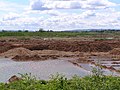 Sand and gravel pits near Broom. - geograph.org.uk - 7937.jpg
