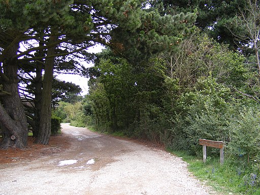 Sandlings Walk Bridleway to Upper Abbey ^ Potter's Farm - geograph.org.uk - 2512634