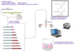 Thumbnail for Sanger sequencing