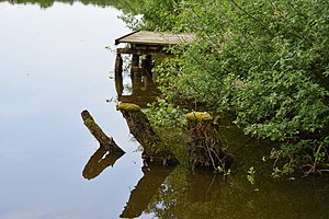 Schleswig-Holstein, Krempermoor, Landschaftsschutzgebiet Geesthang bei Dägeling mit Bockwischer Moor NIK 5989.JPG