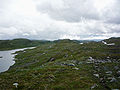 Setesdal Vesthei, Norway