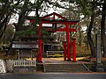 Shimohie torii