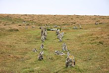 Shovel Down Stone Row - geograph.org.uk - 1513000.jpg