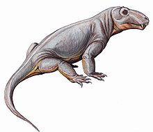 Restoration of adult Sinophoneus yumenensis Sinophoneus09.jpg