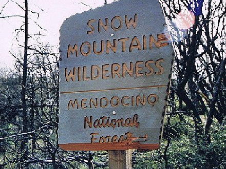 Wilderness boundary sign at Bearwallow Trail (note burn area)