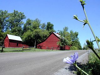 <span class="mw-page-title-main">South Hero, Vermont</span> Town in Vermont, United States