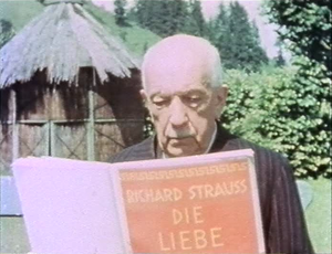 Richard Strauss: Leben, Werk und Würdigung, Werke (Auswahl)