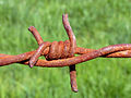 This iron wire has taken years to become rusty.