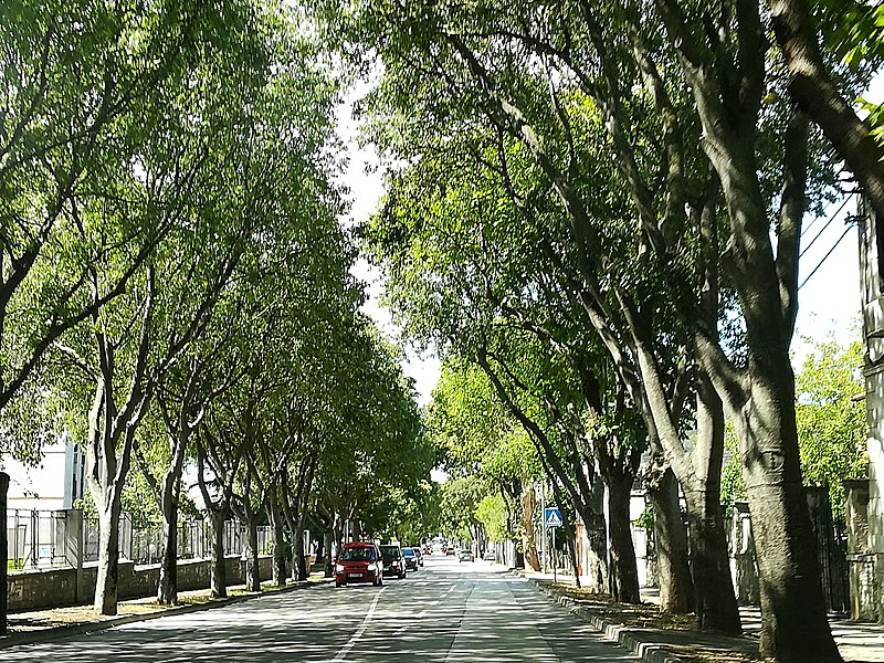 File:Street in Pula 21.jpg