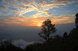 Neora Valley National Park National park in the state of West Bengal, India