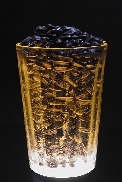 File:Sunflower Seeds In A Glass (237162111).jpeg