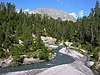 Le parc national suisse.