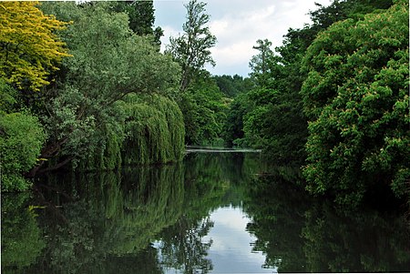 Syon Park Lake